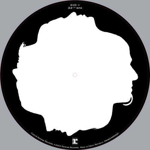 Disturbed - Believe - Picture Disc LP - VINYL