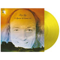 Terry Riley - A Rainbow In Curved Air (Limited Edition) - Music On Vinyl LP - VINYL