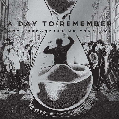 A Day to Remember - What Separates Me From You - LP - VINYL