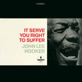 John Lee Hooker - It Serve You Right To Suffer - Analogue Productions LP - VINYL