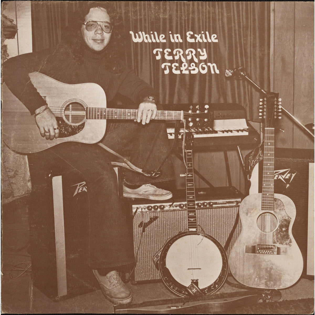 Terry Telson - While in Exile - LP - VINYL