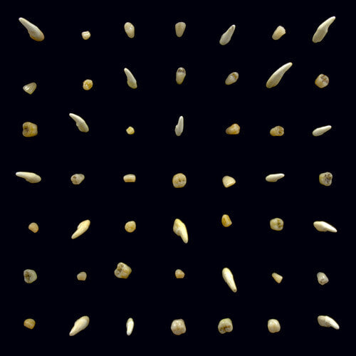 Clipping - Visions Of Bodies Being Burned - LP - VINYL